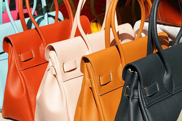 best handbag colors for office women in India